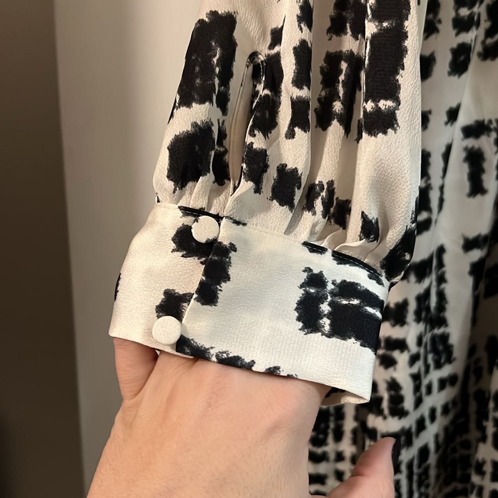 Express Dress - Picture 5 of 7